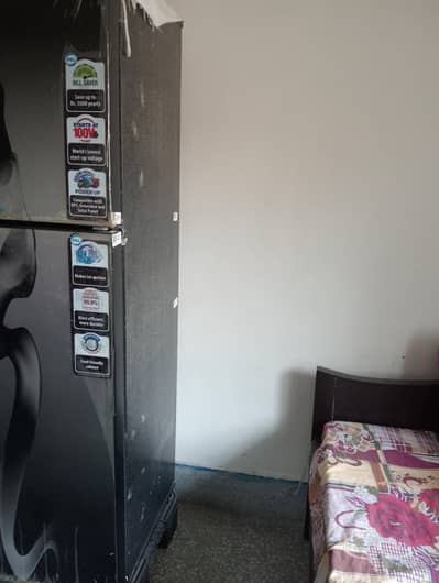 pel 2550 GD
