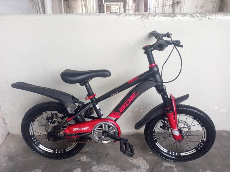BDF IMPORTED BICYCLE 1