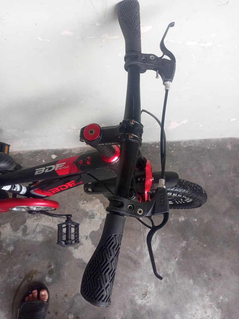 BDF IMPORTED BICYCLE 2