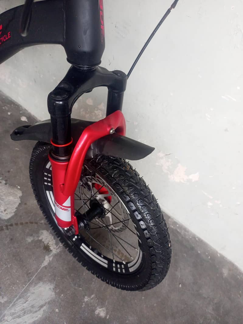 BDF IMPORTED BICYCLE 3