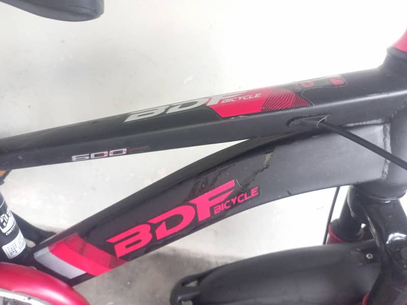 BDF IMPORTED BICYCLE 5