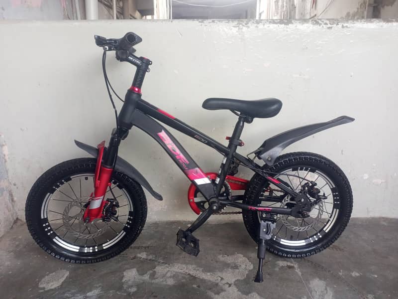 BDF IMPORTED BICYCLE 6