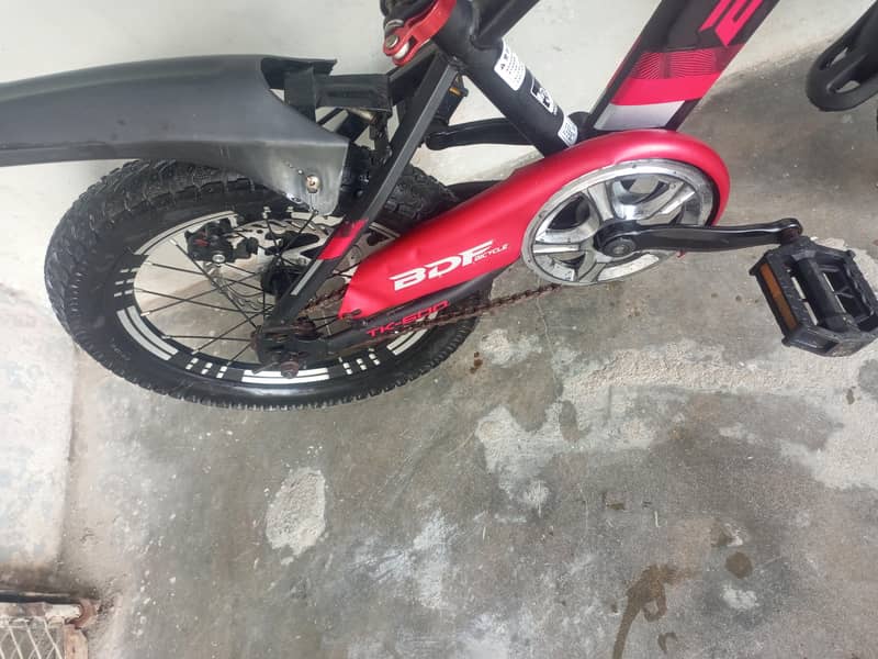 BDF IMPORTED BICYCLE 8