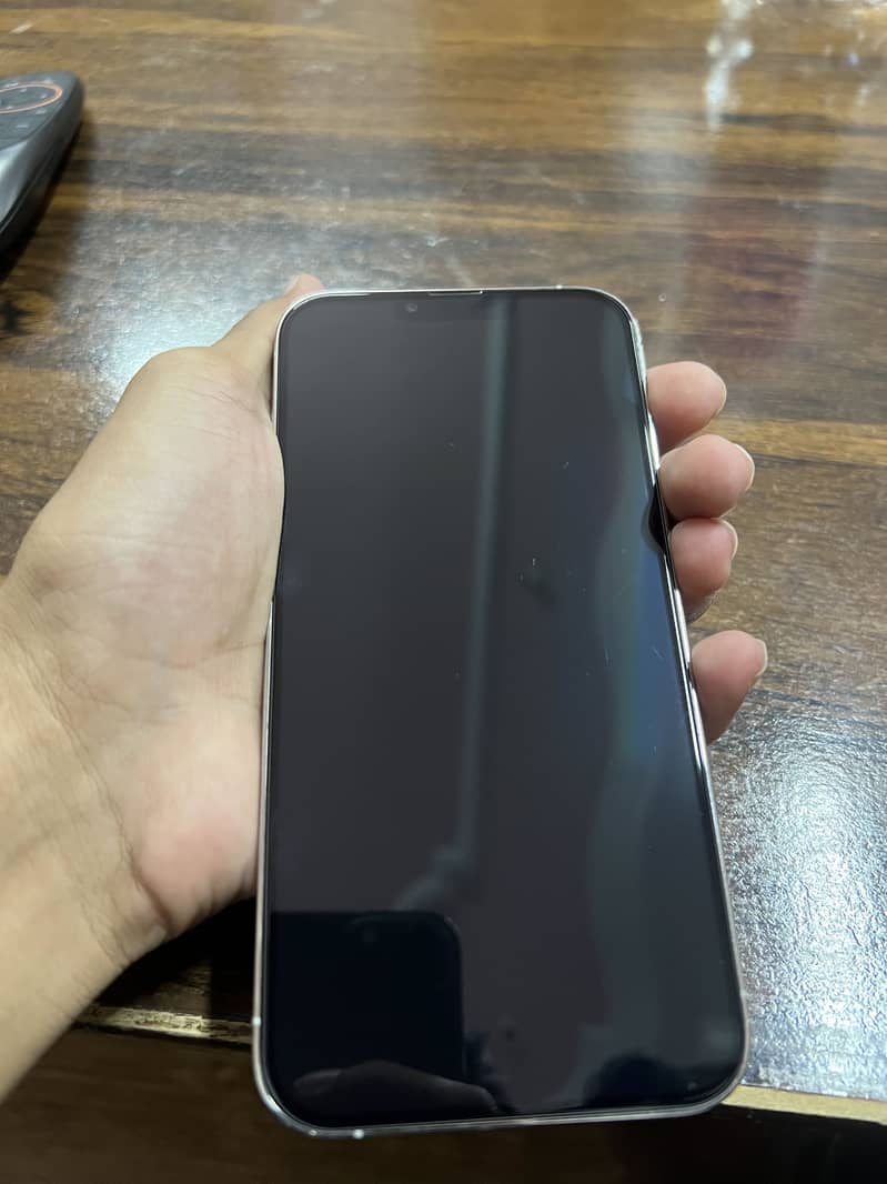 Apple iPhone 13 Pro Max 1