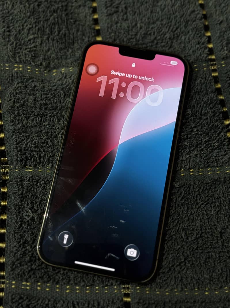 Apple iPhone 13 Pro Max 1