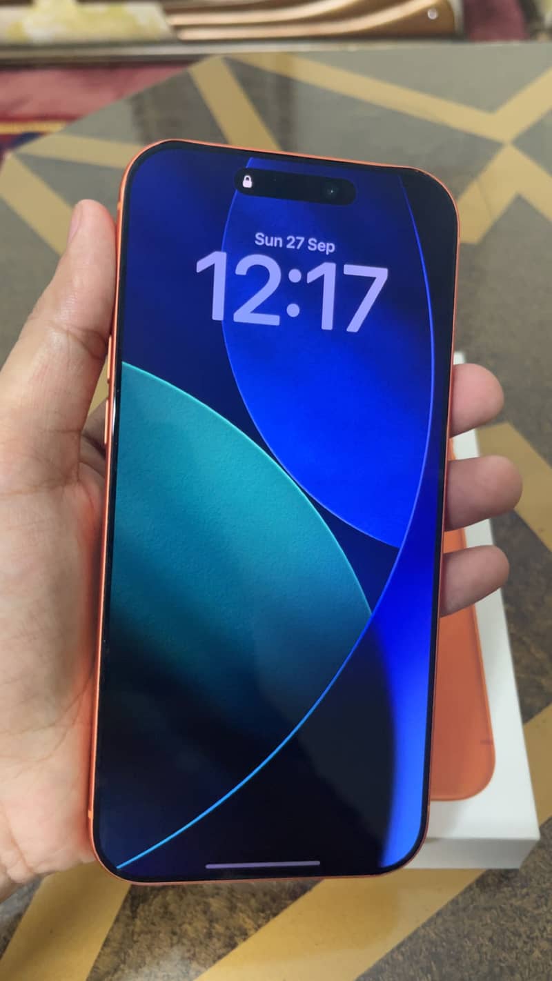 17 Pro Max 1