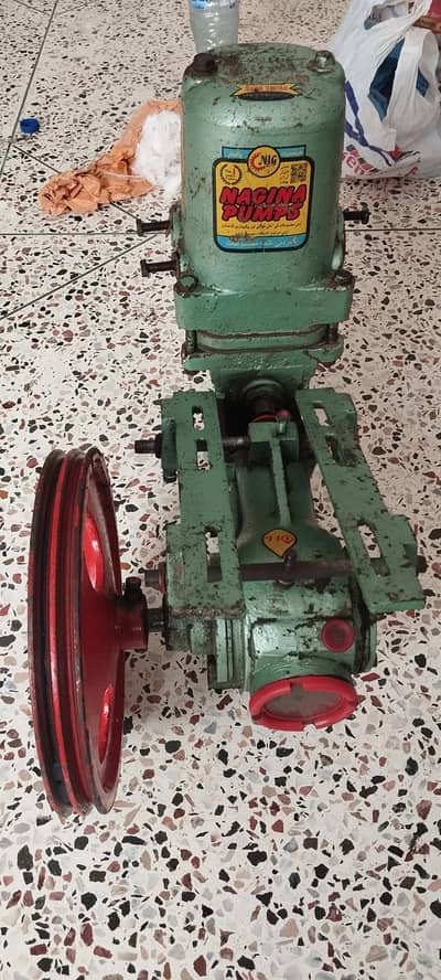 Nagina pump
