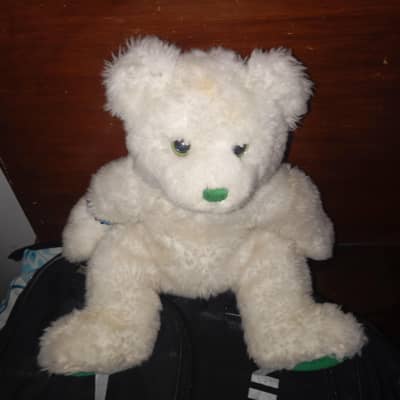 Bhaloo one singing and one bear available