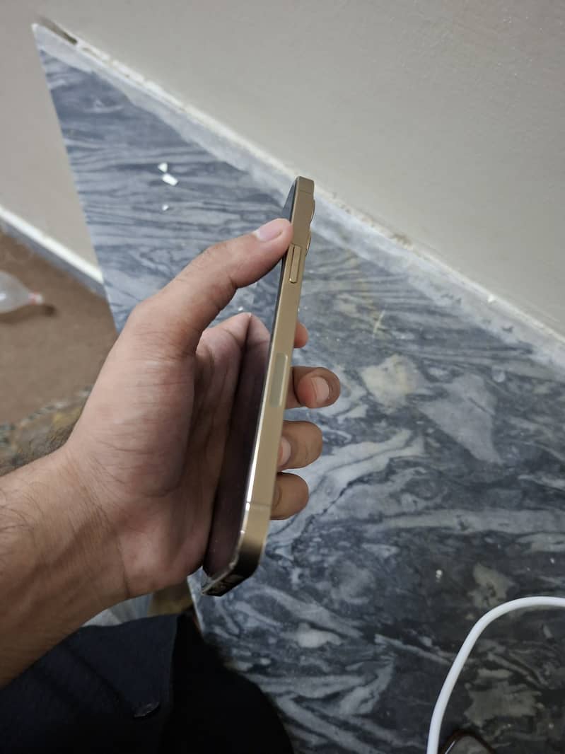 Apple iPhone 12 Pro Max 0