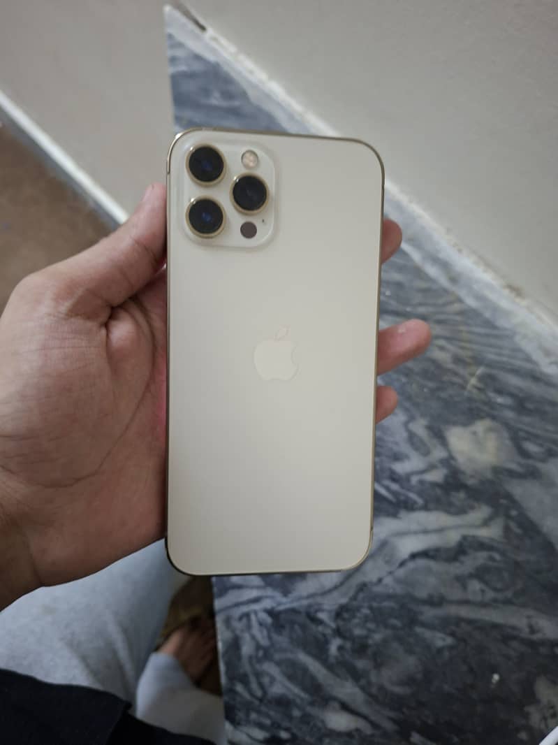 Apple iPhone 12 Pro Max 2