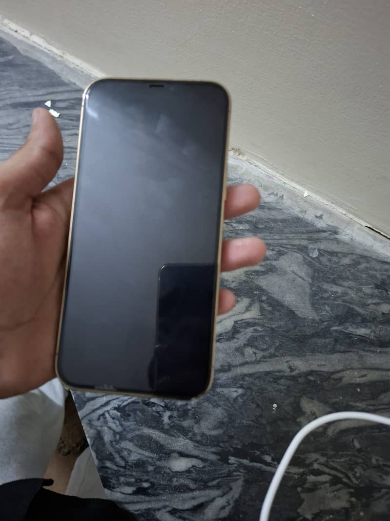 Apple iPhone 12 Pro Max 3