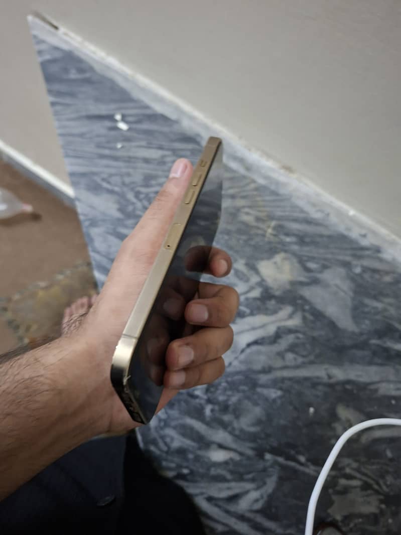 Apple iPhone 12 Pro Max 8