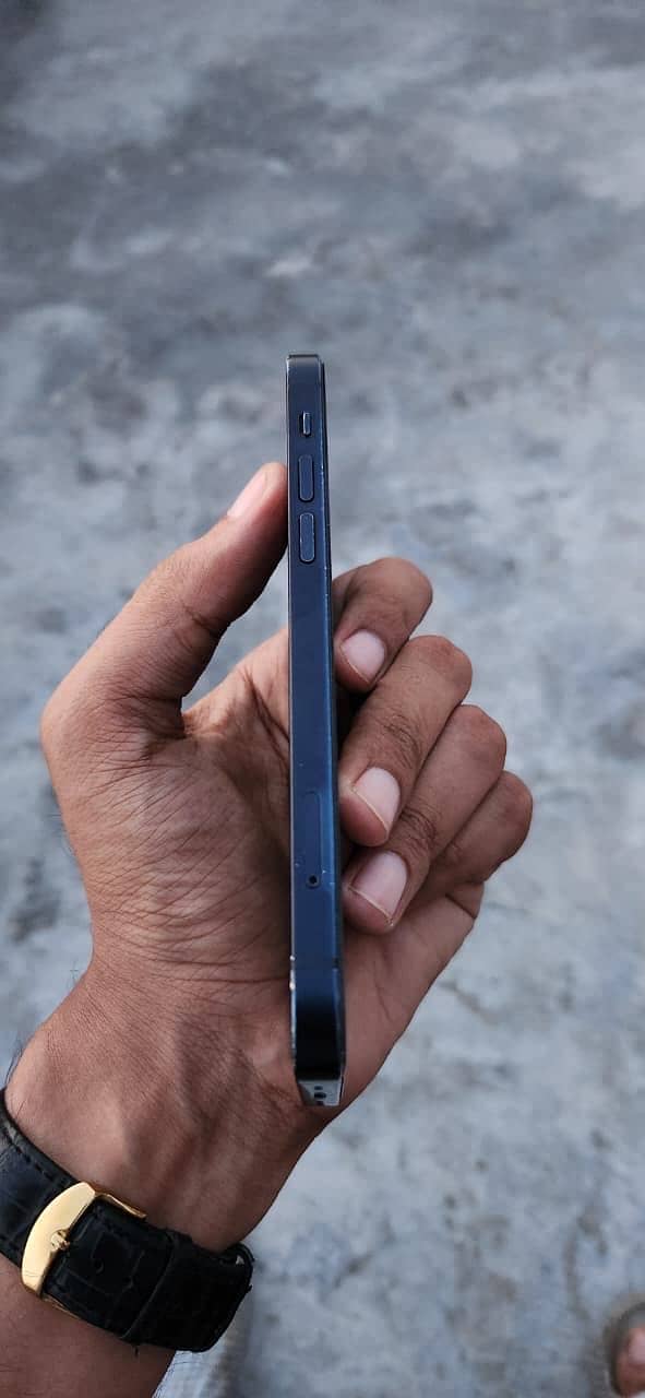 Apple iPhone 12 1