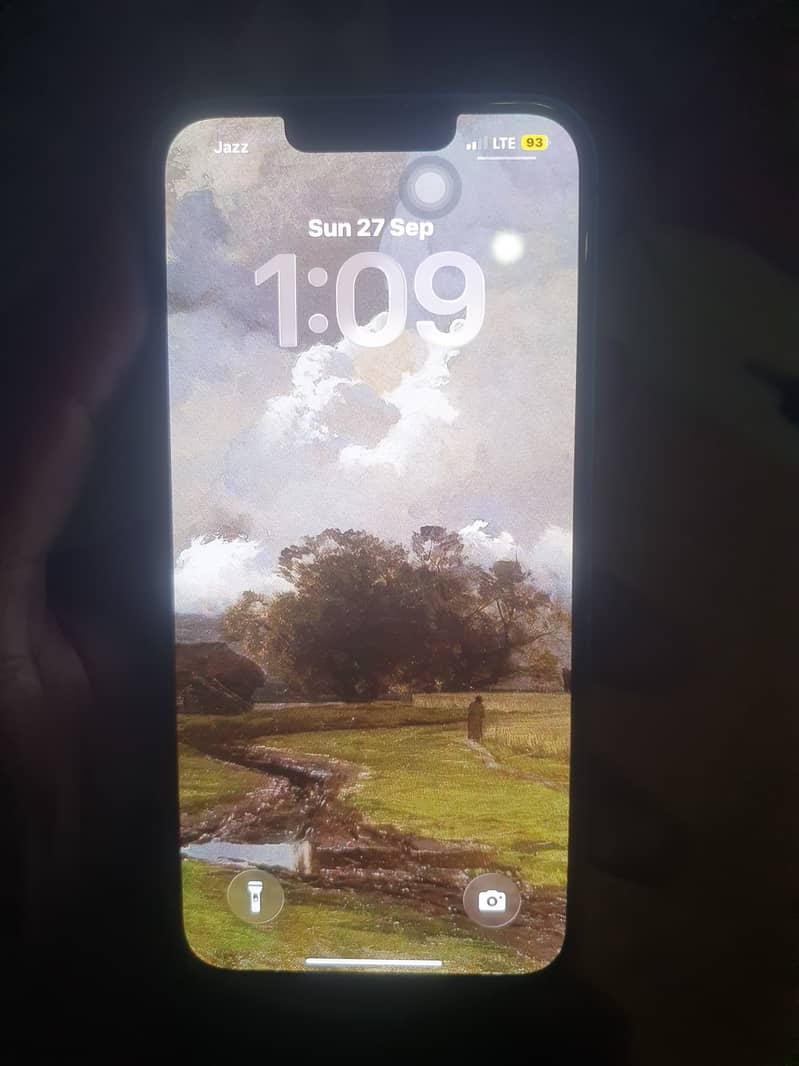 Apple iPhone 13 1