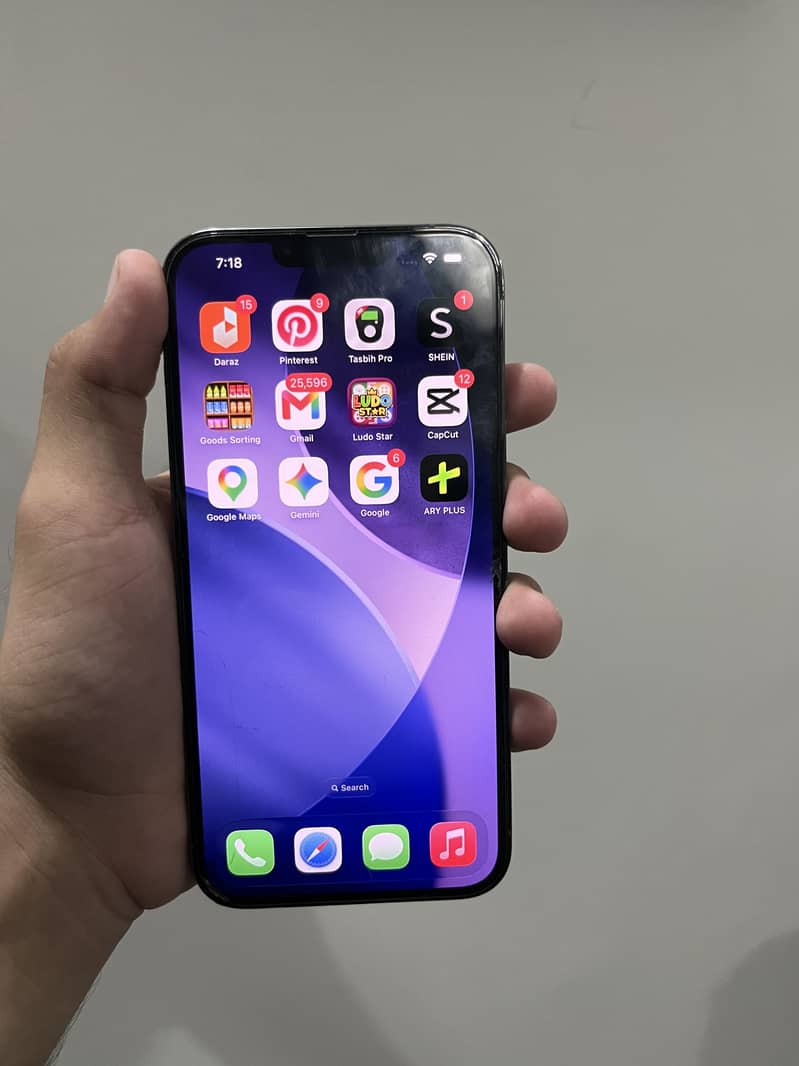 Apple iPhone 13 Pro Max 5