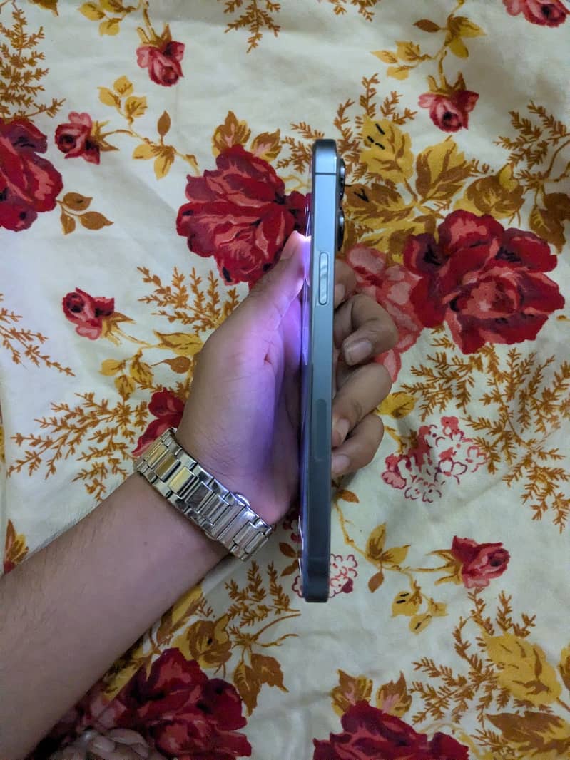 Apple iPhone 13 Pro Max 1