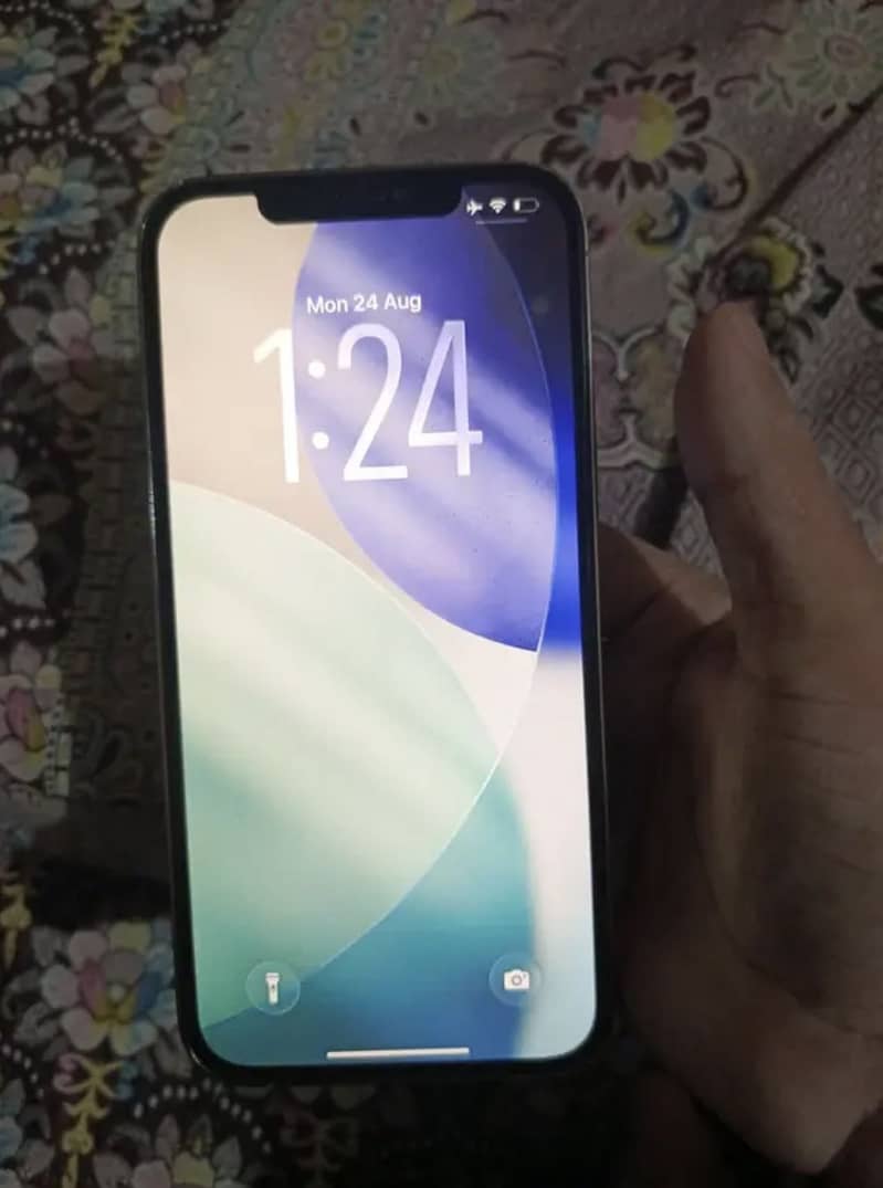 Apple iPhone 12 Pro Max 1