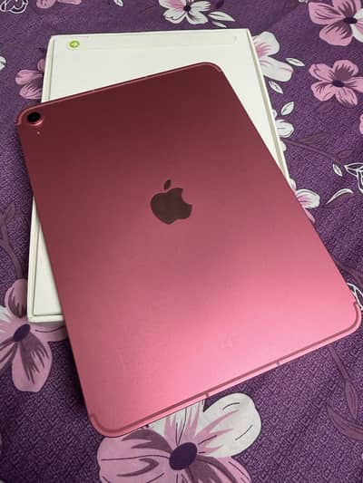 i Pad (A16) wifi + cellular
