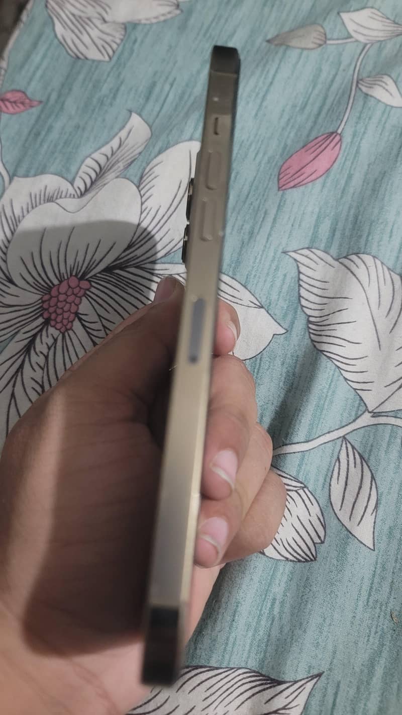 Apple iPhone 12 Pro Max 5