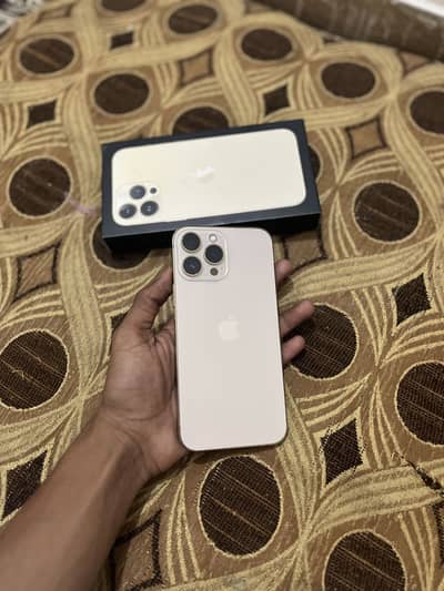 Apple iPhone 13 Pro Max