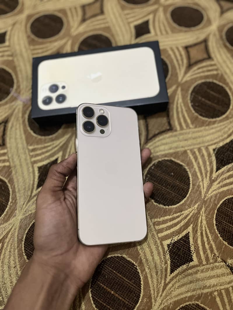 Apple iPhone 13 Pro Max 1