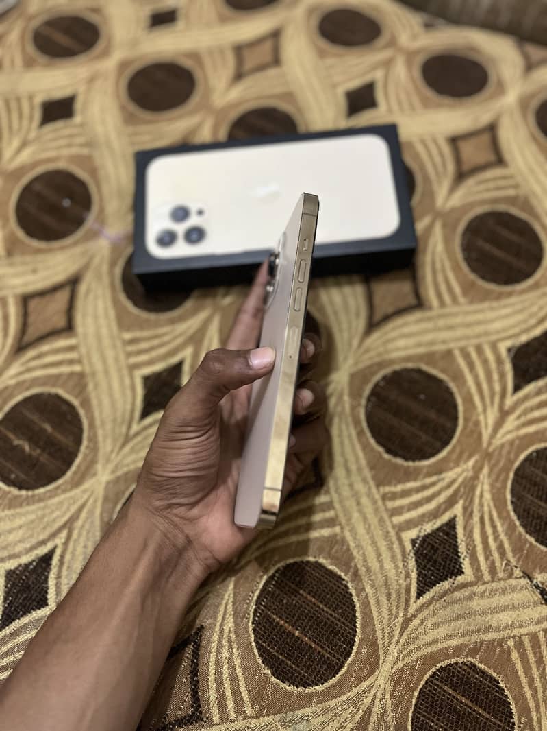 Apple iPhone 13 Pro Max 2