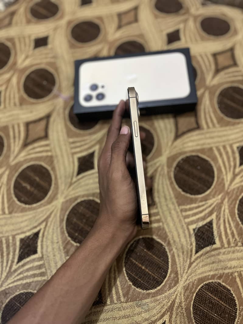 Apple iPhone 13 Pro Max 5