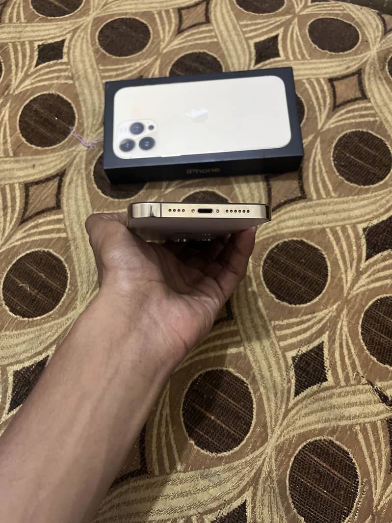 Apple iPhone 13 Pro Max 6