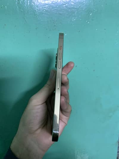12 pro max golden