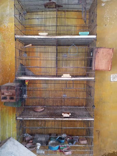 Cages
