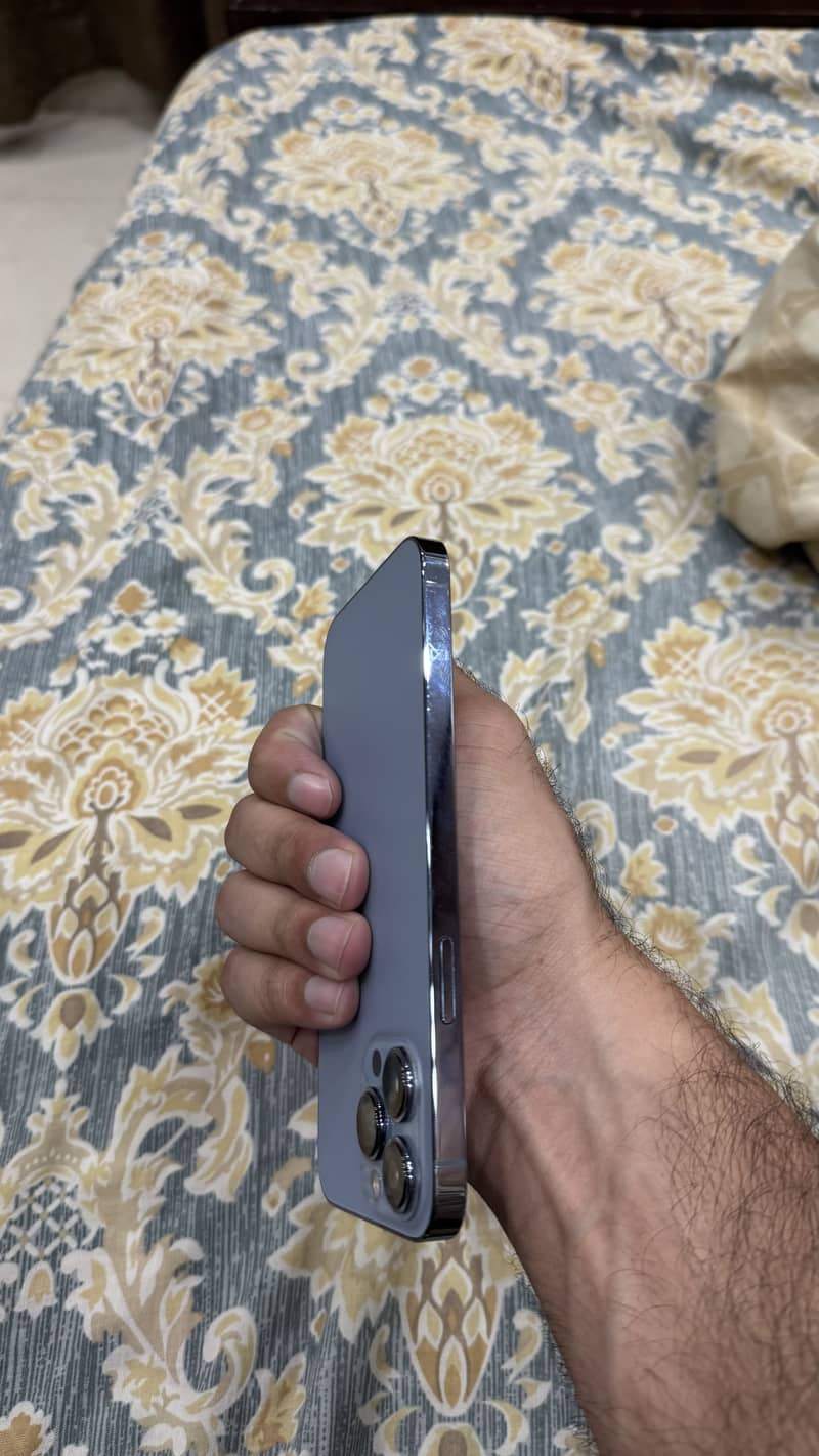 Apple iPhone 13 Pro Max 10