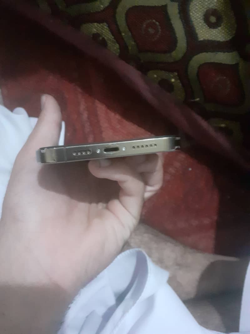 Apple iPhone 13 Pro max 1