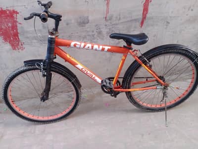 bilkul jenion h