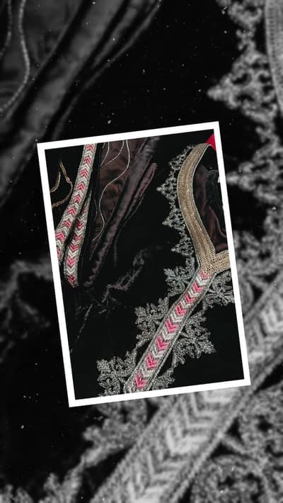 velvet embroidered dress