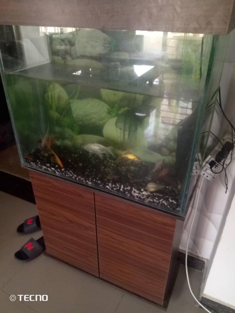 aquarium 0