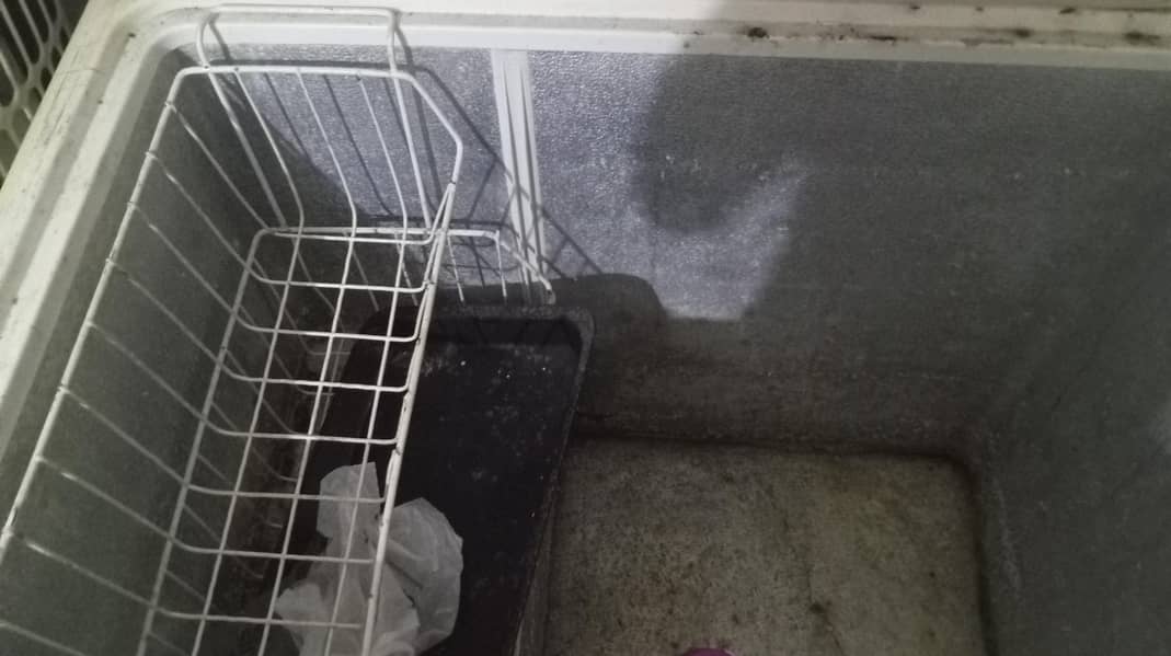 Deep freezer 1