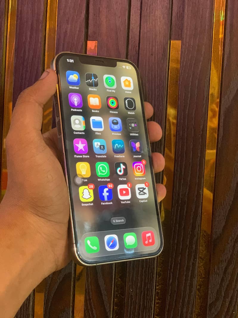 Apple iPhone 12 Pro Max 0