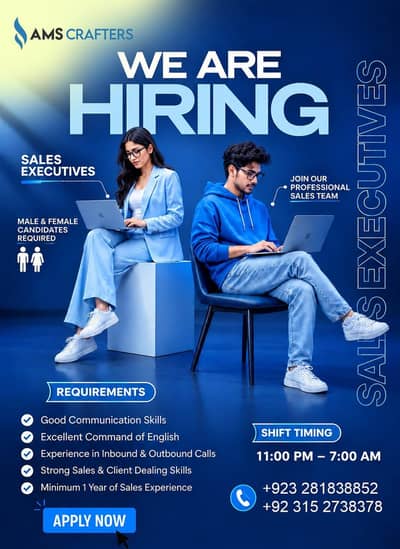 Sales Executive
