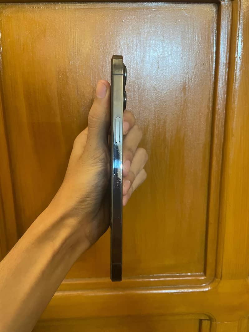 Apple iPhone 12 Pro Max 1