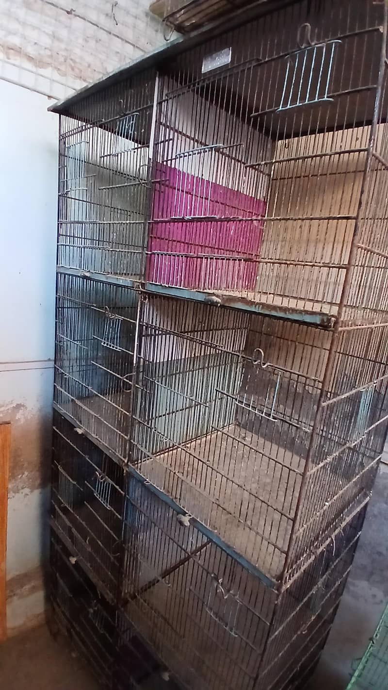 Cage 8 portion 1