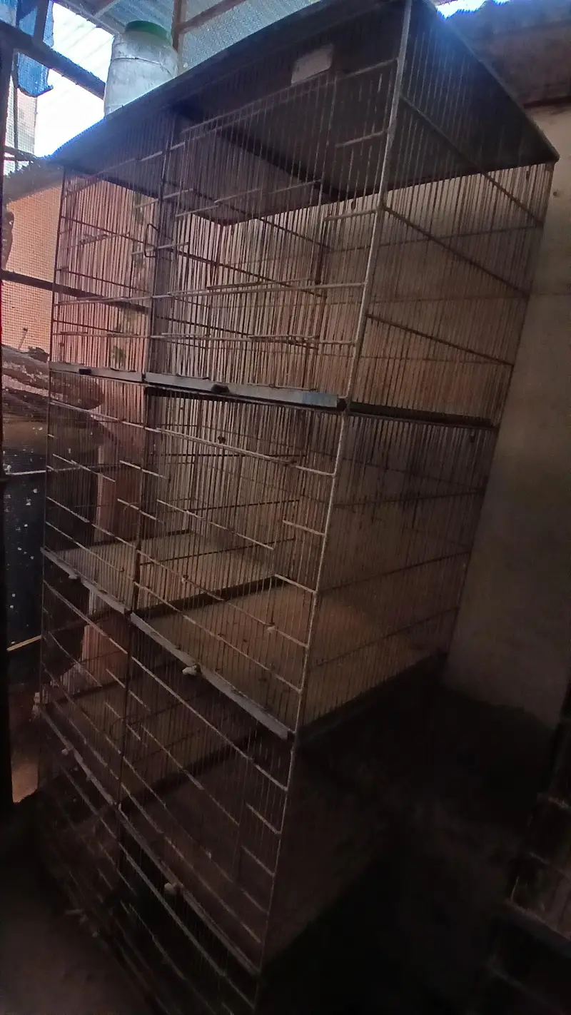 Cage 8 portion — photo 3