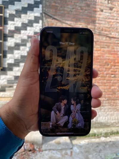 Apple iPhone 12 Pro Max