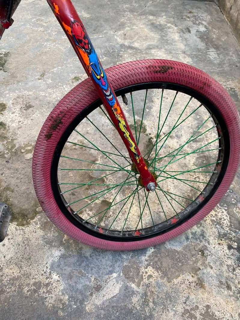 phoneix cycle 3