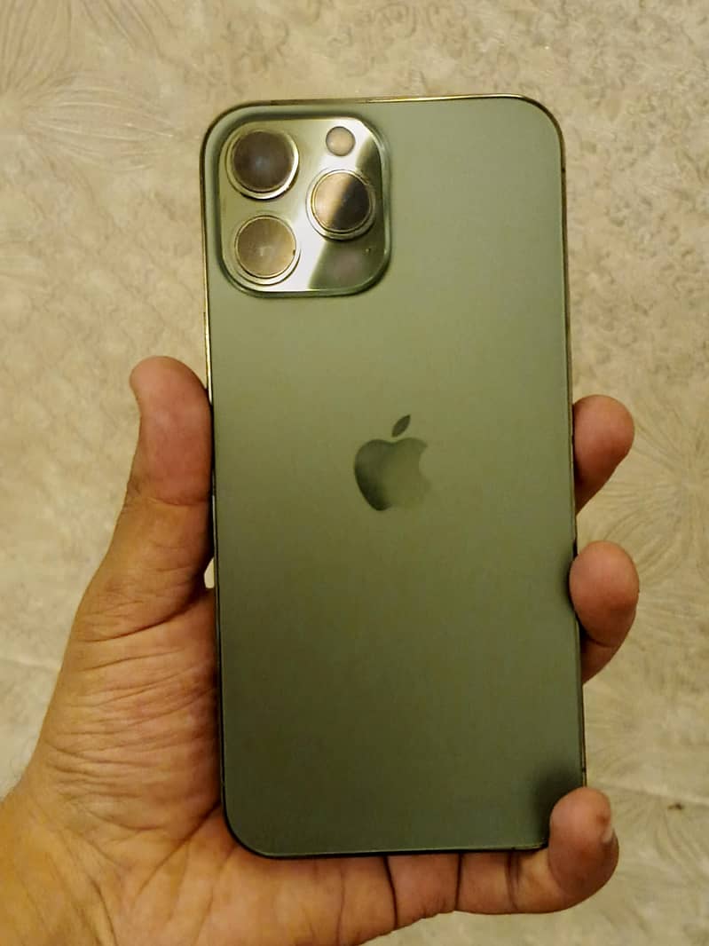 Apple iPhone 13 Pro Max 1