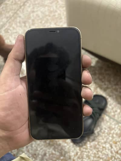 Iphone 12 pro