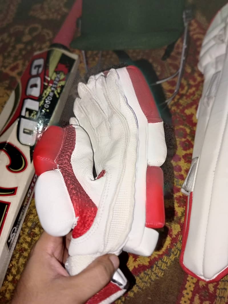 Complete Cricket kit 9