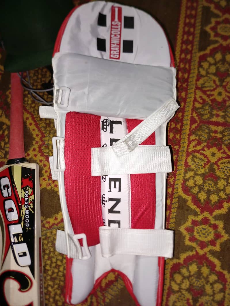Complete Cricket kit 13