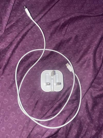 Apple 20 Charger