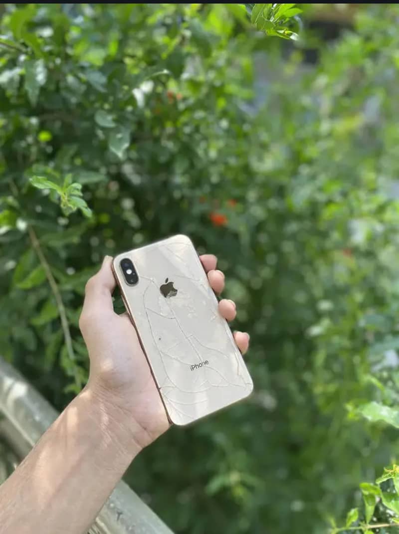 Apple iPhone XS 0