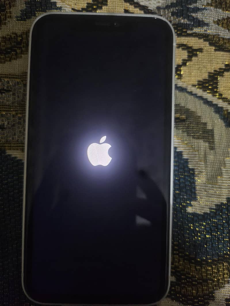 Apple iPhone 11 1